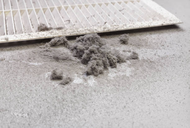 Best Local Air Duct Cleaning Services  in Albany, GA