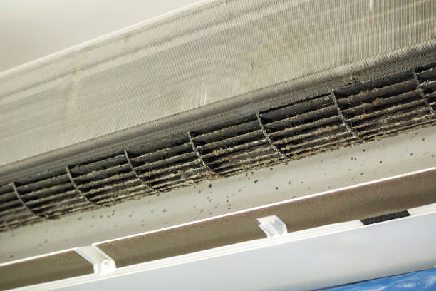 Best HVAC Duct Inspection Services  in Albany, GA