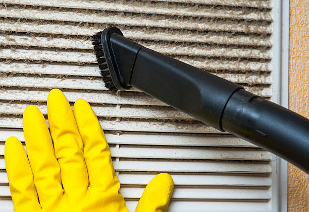 Best Emergency Air Duct Cleaning  in Albany, GA